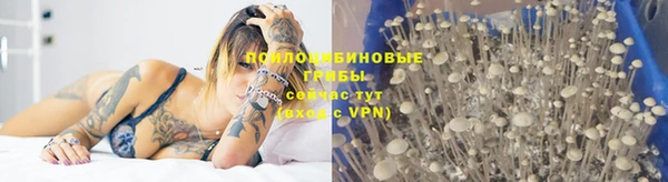 индика Покровск