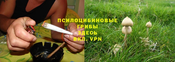 метадон Пестово