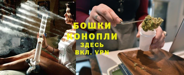 шишки Гатчина